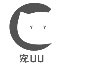 河南寵呦呦信息技術有限公司